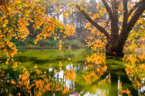 Item #82666956697073059935250471949023285858624698901330742305278420792098020130817 Media