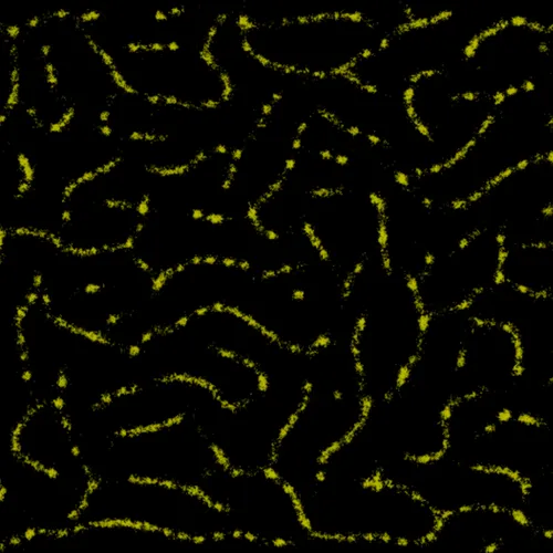 Item #51929734946411346289540790635765095060363125039145709683616697167252822163457 Media