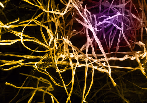 Item #115505927728344181025262329658899620468765138243295584093365708394601753083905 Media