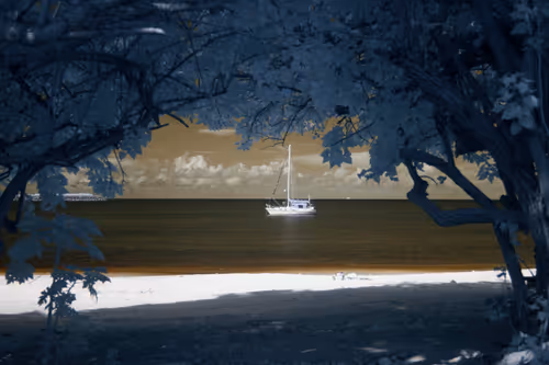 Item #84630877256389803822544637333020280854396826404545033634090050555343412396033 Media