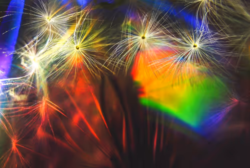 Item #41234467352345795987762093043461783770169044138766201577467704829743172943873 Media