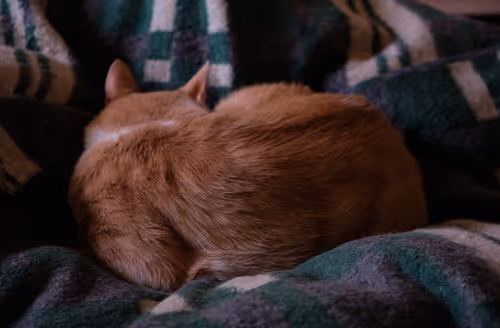 Item #105475816949175725597838668609224528502922702307421382918206128515508055572481 Media