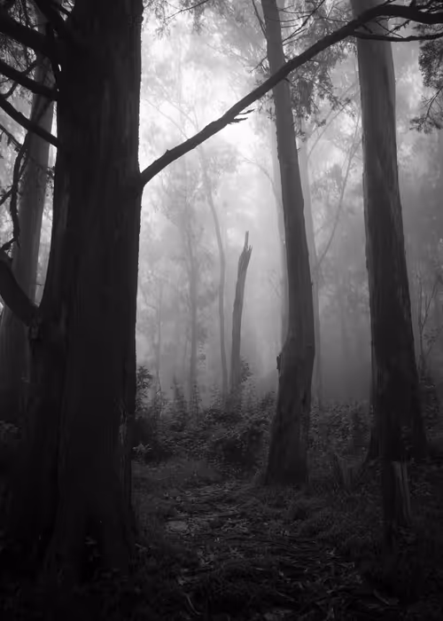 Item #82666956697073059935250471949023285858624698901330742305278420801993624780801 Media