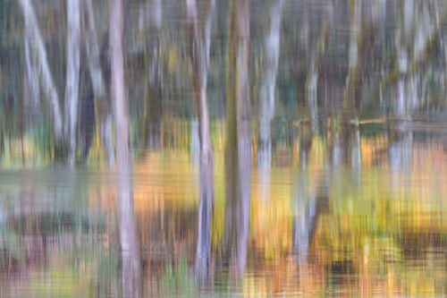 Item #81441334517361708208394031135700195474624799851237506988747108038165481390081 Media