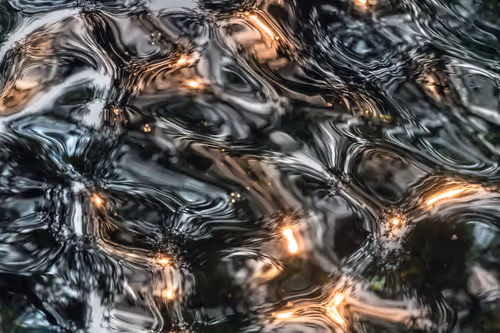 Item #81441334517361708208394031135700195474624799851237506988747107987587946512385 Media