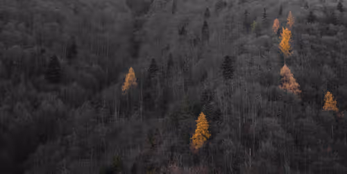 Item #105475816949175725597838668609224528502922702307421382918206128518806590455809 Media