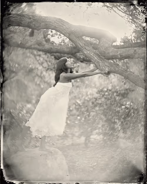 Item #95502041527997135146388521676905267930104448618173067888916315891857071538953 Media