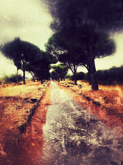 Item #17398505035155886299443567647096985352821174740737303565068841129404868329473 Media