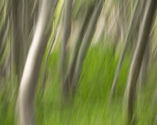 Item #82666956697073059935250471949023285858624698901330742305278420800894113153025 Media