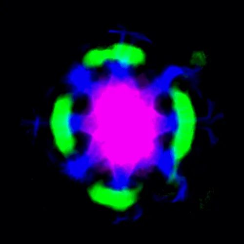 Item #51929734946411346289540790635765095060363125039145709683616697102381636124673 Media