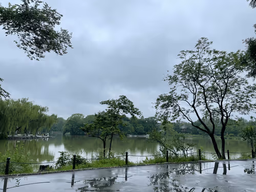 Item #56294197494834331645993831368678871550129242921270103877814098399458985246721 Media