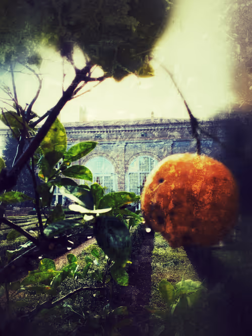 Item #17398505035155886299443567647096985352821174740737303565068841133802914840577 Media