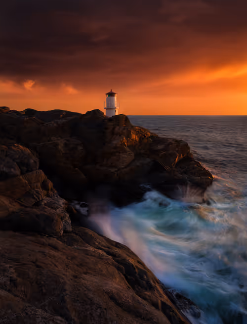 Item #72651886882207206539966383415555664124556444317113885039601297110641386979329 Media