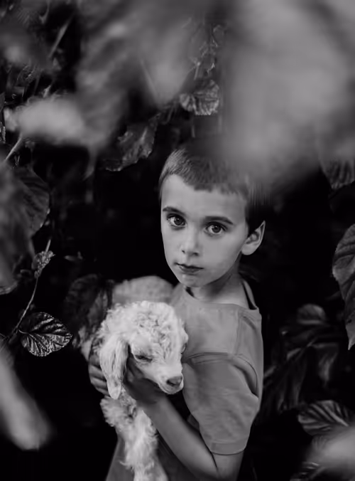 Item #107338736840495903892700830333162816701828415005499690242546380938495599312897 Media