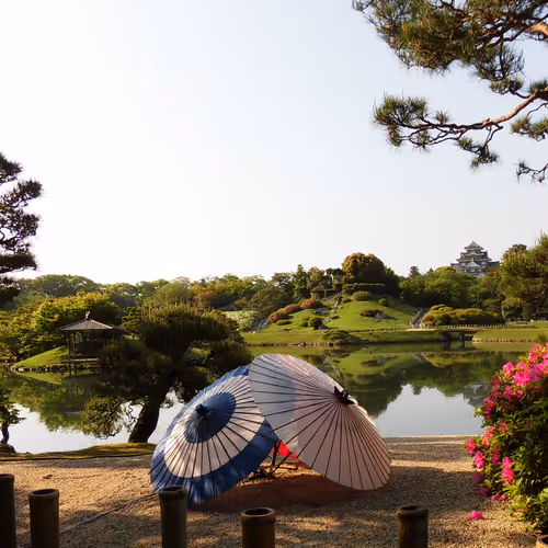 Item #93610477576239495509227283487181348079099227887167230462024179911596424822785 Media