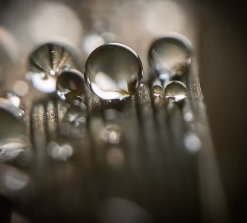 Item #59259199848972023857732761646304634361280699770576024418514166938853934366721 Media