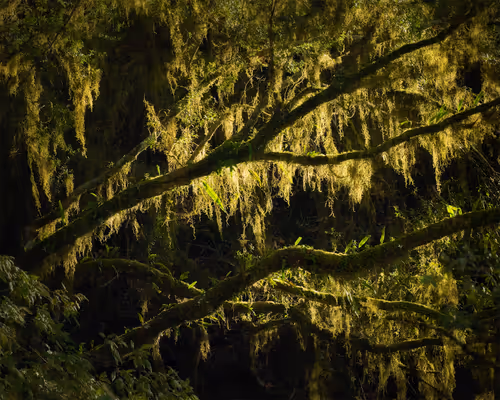 Item #112241139933589088795661151874445265147488650533013612432304602933116616572929 Media