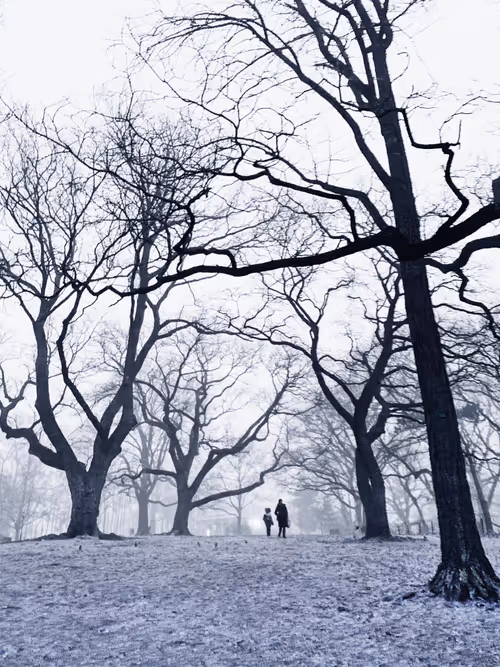 Item #62001089897654043678582796294711651900724303774679820814799839856562970558465 Media