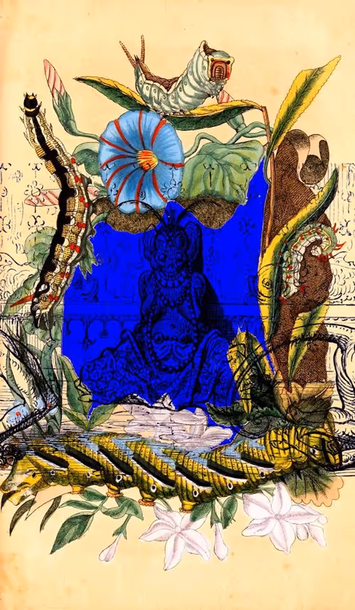 Item #16587184530242839710052864403997558842450579740092040894761418643520870154241 Media