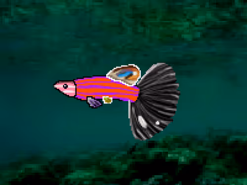Item #103660596945549690149969121575235901622056825308983816077636300640878055129089 Media