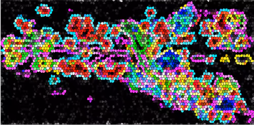 Item #88178403044767415627587356713480527064190058528292718512072958273318281019393 Media