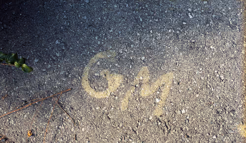 Item #58883327943218482885511625451962166109229848641575055586606686599335508967425 Media