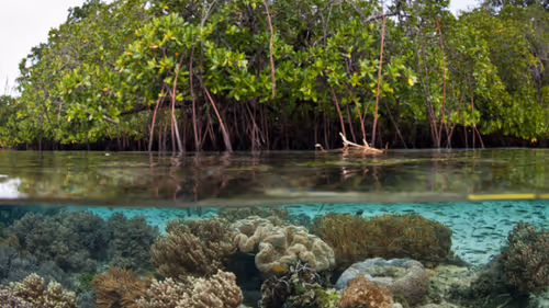 Item #103842889380389490974237418585488476385248358379383266595214697771092156612609 Media