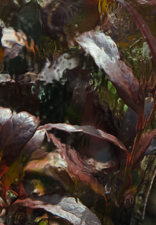 Item #60517015273015201167448896959818064210390269083404328919055338533770533797889 Media