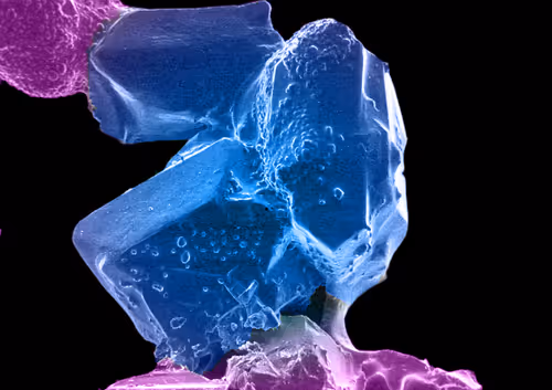 Item #115505927728344181025262329658899620468765138243295584093365708389104194945025 Media