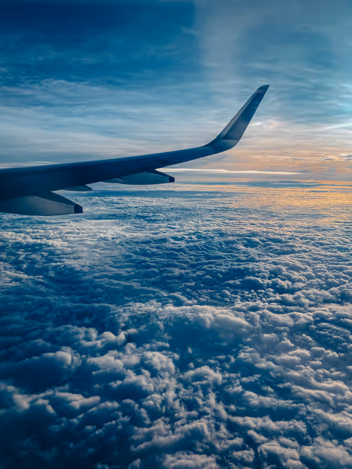 Item #27096896205072793537390130549094105159350559485671364885644222996892530769921 Media