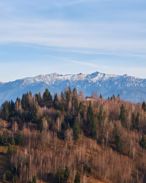 Item #105475816949175725597838668609224528502922702307421382918206128519906102083585 Media