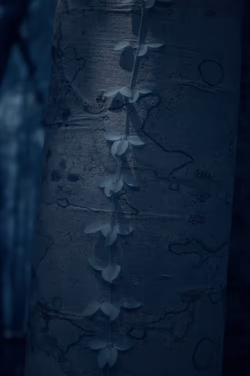 Item #84630877256389803822544637333020280854396826404545033634090050533353179840513 Media