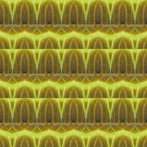 Item #39966487924636971446213751884402841618391351939627866596427130293536199540737 Media