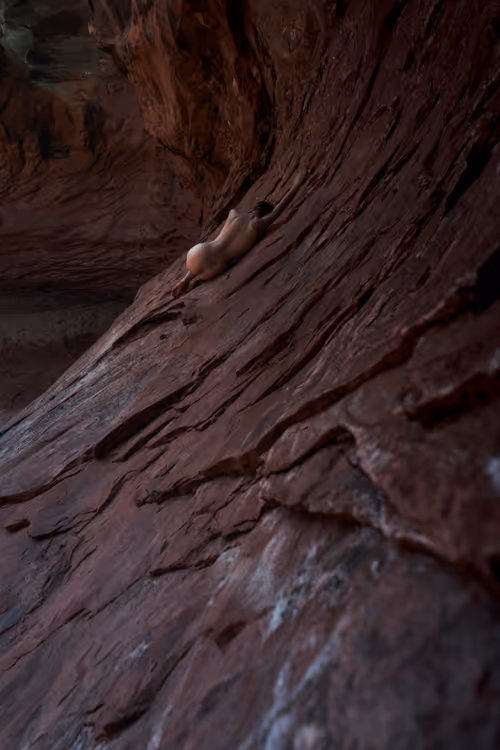 Item #83332782865168099246111470793904216784049773190563389119764666123419840937985 Media