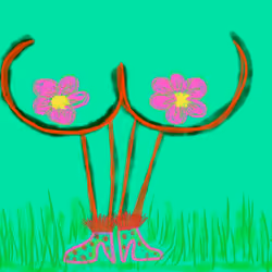 FLOWERS BOOBS