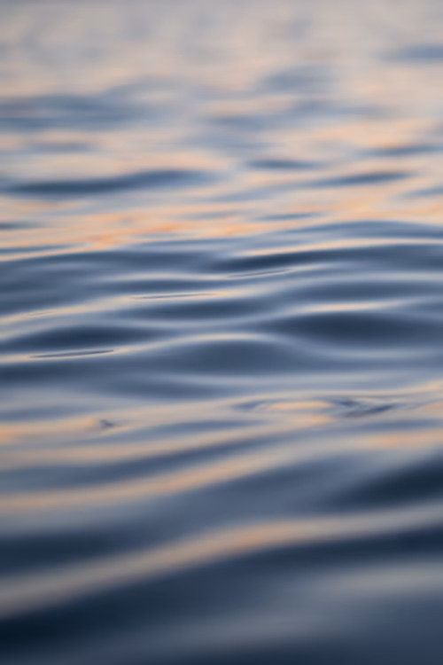 Item #113106517295801719263541253605561877557080643982296006819616818938802360811521 Media