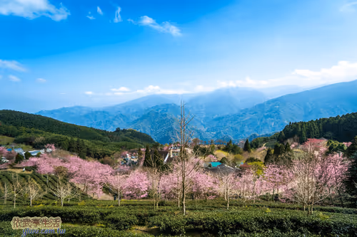 Item #100744422725674417057824683306763013505668843176654858816283483956021769011201 Media