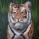 tigerart Collection V2