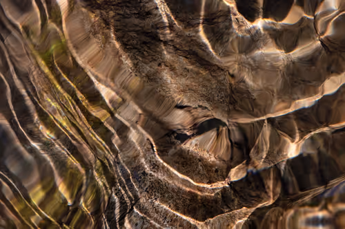 Item #81441334517361708208394031135700195474624799851237506988747108017274760462337 Media