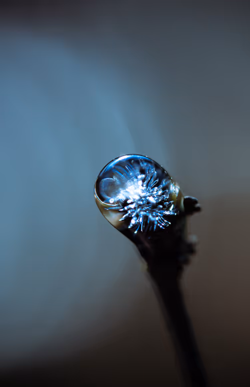 Item #59259199848972023857732761646304634361280699770576024418514166892674446000129 Media