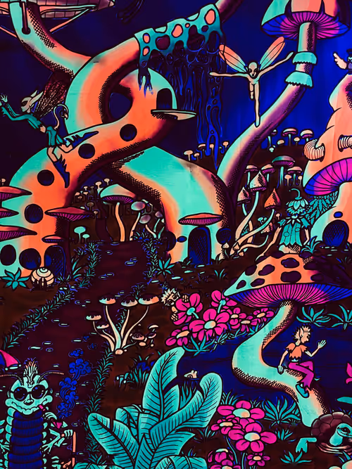 Item #30740302589079776519759082537500895011913059495583463667508883386857016000513 Media