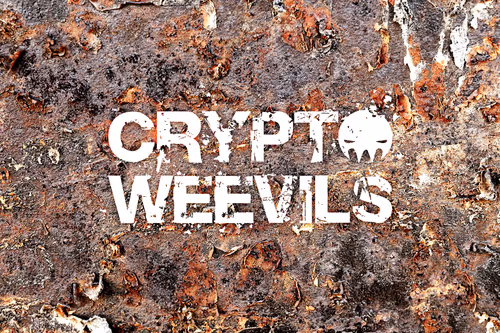 Item #29314157866463614573355053931398882925484977285626546525081320736245728411748 Media