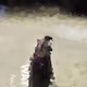 112901328758591536811638678805019270310024114958917821241935947360938949083137