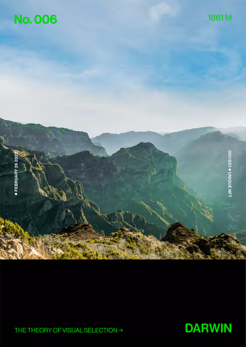 Item #5978613787773959064064561136939516829698711004901919756353002569525381562369 Media