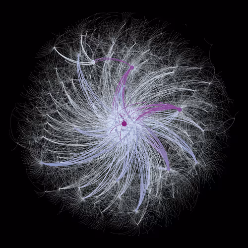 Item #8939162555813086481521450829509087054886920104376514321051358908141052887041 Media