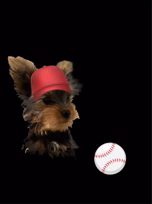 Item #104436702811462437734086772813711904180580263858464990188133305437049917014017 Media