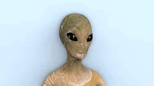 Item #75317521654844928011442235037971825263063970787729373374065796113678852947969 Media