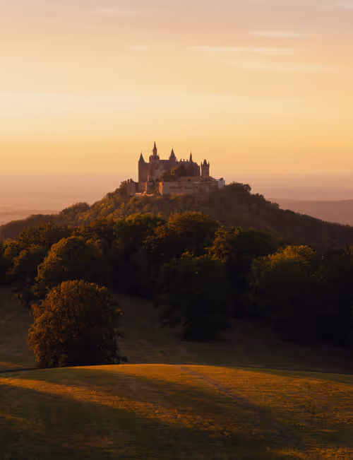 Item #72651886882207206539966383415555664124556444317113885039601297112840410234881 Media