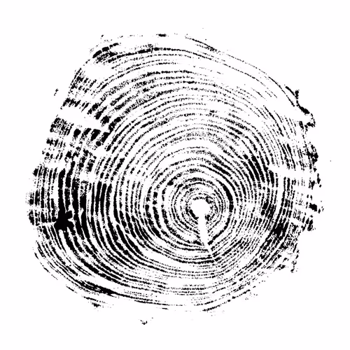 44408188301898263059280005630017205616711493273710408978037287764148984217601