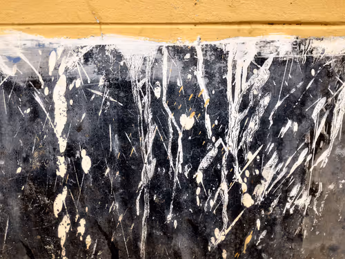 Item #77837778009088564188174628045169397065653229955612462896383264967027031277569 Media